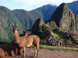 Segredo Inca, Machu Picchu
